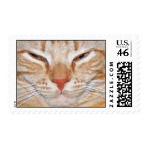 Quite Frankeh Stamps