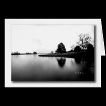 Quite Reflections cards