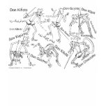 QUIXOTE IN TRANSLATION Camiseta Tee Shirts