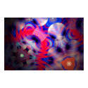 Quizby 10 posters by lester_palocsay Quizby 10 posters