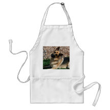 Quizzical German Shepherd Apron