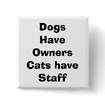 quote pins
