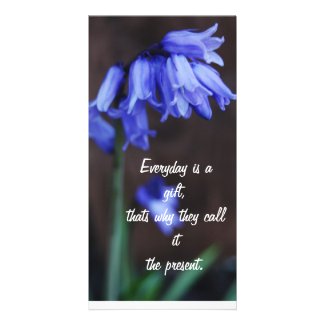 purple flowers-pictures of flowers
