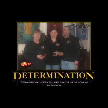 QVP Determination Poster posters