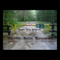 QVP Quabbin Gate posters