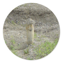 R0001 Richardson's Ground Squirrel Round Stickers