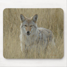 R0002 Coyote Mouse Pad