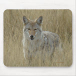 R0002 Coyote Mouse Pad