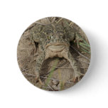 R0010 Prairie Toad Pinback Buttons
