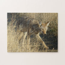 R0014 Coyote Puzzles