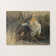 R0016 Coyote Jigsaw Puzzle