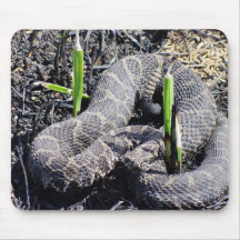 r3-mo-sqr-snake sunning in burn area mousepad