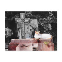 R.I.P. postcards