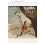 R is for Robin
