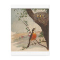 R is for Robin postcards by angelandspot R is for Robin postcards