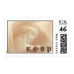 R S V P POSTAGE STAMP