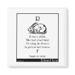 R was a rabbit, refrigerator magnets