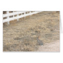 Rabbit and Fence Card