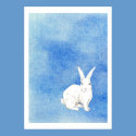 Rabbit Blue Poster posters