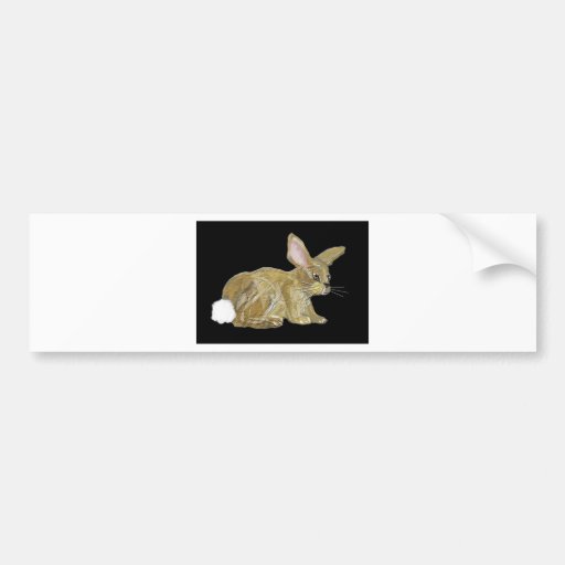 rabbit bumper stickers