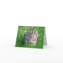 Rabbit Card Blank  #9n  090