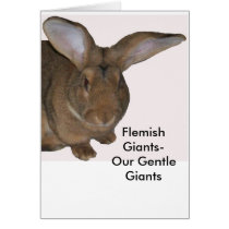 Rabbit Card to say hi
