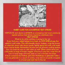 Rabbit Care for Summertime Heat Stroke Poster