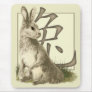 Rabbit &amp; Chinese Symbol Mousepad