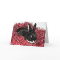 Rabbit Christmas cards by deemac1 Rabbit Christmas cards
