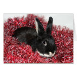 Rabbit Christmas Card