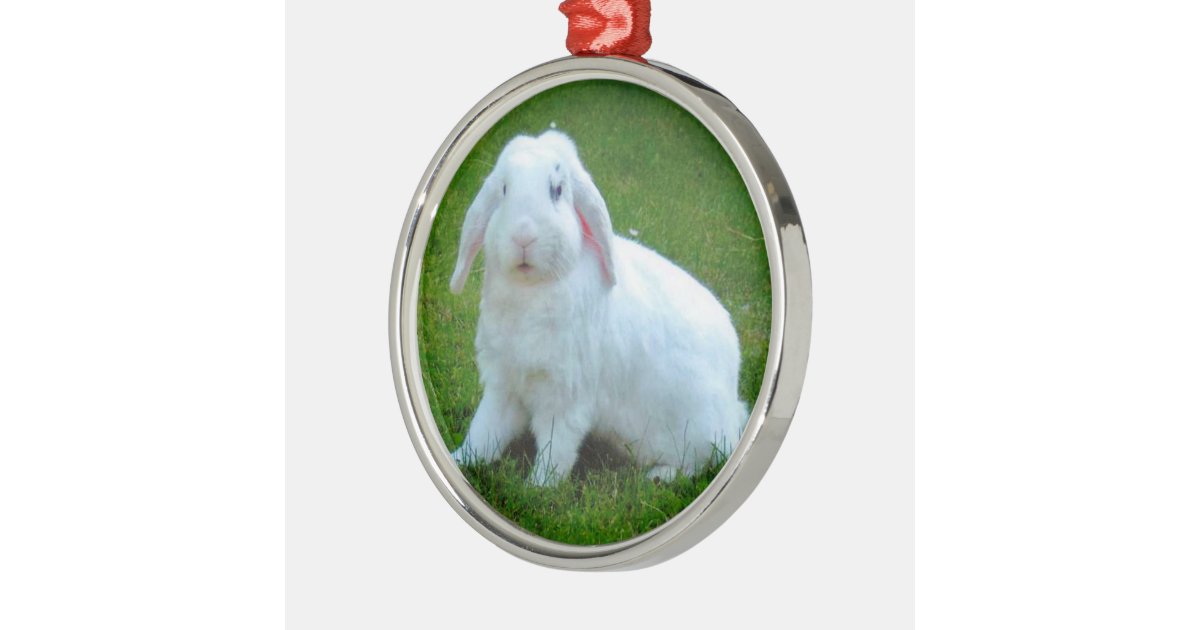 rabbit christmas ornament zazzle rabbit christmas ornament zazzle