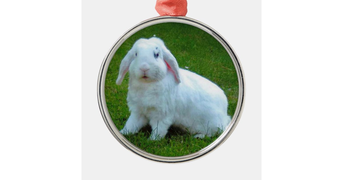 rabbit christmas ornament | Zazzle