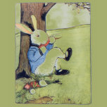 Rabbit Eating a Carrot Tshirts