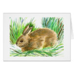 Rabbit Greeting Card