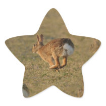 Rabbit Hopping Sticker