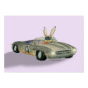 Rabbit in Racing Car Poster posters
