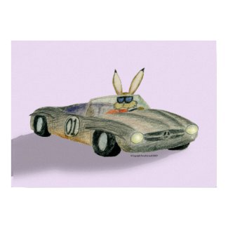 Rabbit in Racing Car Poster print