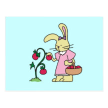 Rabbit in Tomato Garden Tshirts and Gifts Postcard