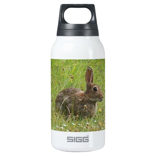 Rabbit Insulated Water Bottle Zazzle