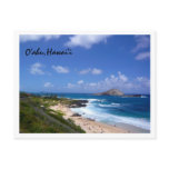 vlim4th, old soul, rabbit island, manana, rabbit,