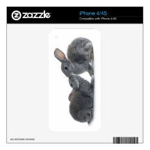 Rabbit Kiss iPhone 4S Decal