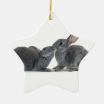 Rabbit Kiss Ornament