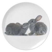 Rabbit Kiss Plate