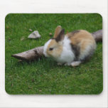 rabbit mouse mat