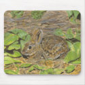 Rabbit mousepad by Critterpainter Rabbit mousepad