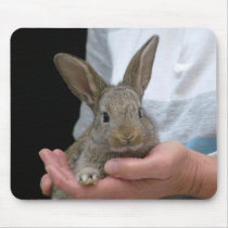 rabbit mousepads