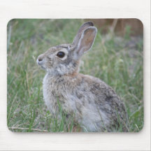 Rabbit Mousepad