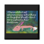 Rabbit of Skinniness [magnet]