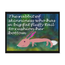 Rabbit of Skinniness [postcard]