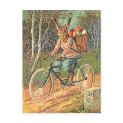 r for rabbit bicycle review